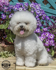 Heidi Aged 4 Years